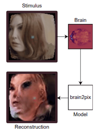 2021 02 16 brain2pix